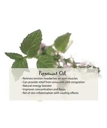 Kneipp Aromatherapy Set: Lavender & Eucalyptus Bubble Bath Duo - Buy Online on GoSupps.com
