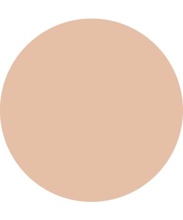 WYCON cosmetics Everyday Wear Liquid Concealer liquid with semimatte finish NC10 - Buy Online on GoSupps.com