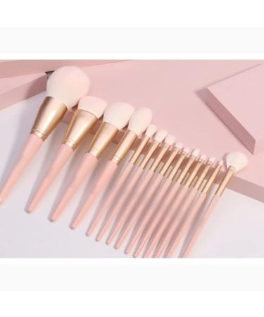 14-Piece Pig Makeup Brush Set | Blush Powder & Eye Shadow Beauty Tools | International Shipping Available - Buy Online on GoSupps.com