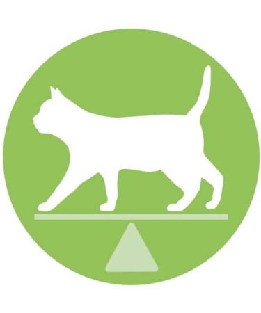 PURINA ONE DualNature Natural Defense Salmon Dry Cat Food for Sterilized Adult Cats | 1.4kg Bag - Buy Online on GoSupps.com