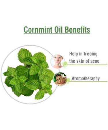 Buy 100% Natural Salvia Cornmint Oil - Pure Undiluted Mentha Arvensis Essential Oil 30ml | Fast International Shipping - Buy Online on GoSupps.com