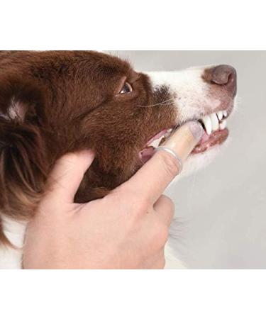 Arm & Hammer Puppy Dental Kits Coconut Fresh - Includes Toothpaste Toothbrush and Finger Brush. Reduces Plaque and Tartar for Healthy Gums - Buy Online on GoSupps.com
