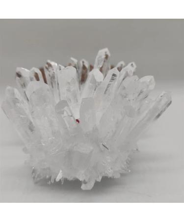 Home Decor 1pcs Natural Raw Quartz White Clear Crystal Cluster Stones Crystal Point Specimen Home Decoration Raw Crystals Gifts Natural Crystal (Size : 700-800g) Crystal Cluster (Size : 300-400g) - Buy Online on GoSupps.com