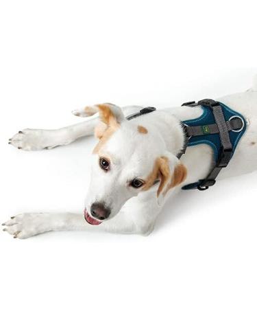 HUNTER Maldon Harness XS-S Petrol/Grey - Premium Dog Harness for Comfortable International Shipping - Buy Online on GoSupps.com