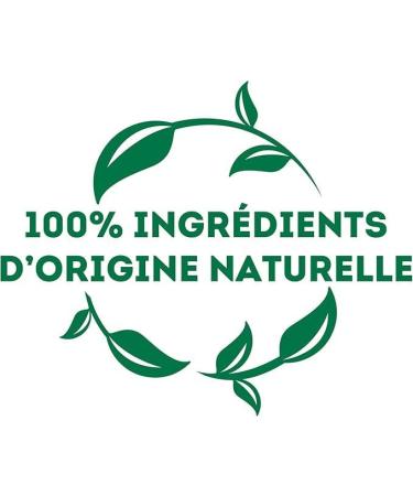 Lipton Th Vert Marrakech Mint 100 Capsules Compatibles Nespresso Antioxydant et Parfum Menthe Fra che et D licate Label Rainforest Alliance x10 Capsules Th vert Matcha - Buy Online on GoSupps.com