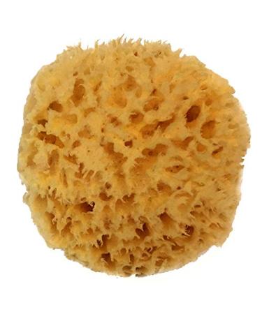 Natural Sea Wool Sponge 4-5 by Spa Destinations   Amazing Natural Renewable ResourceCreating The in Perfect Bath and Shower Experience