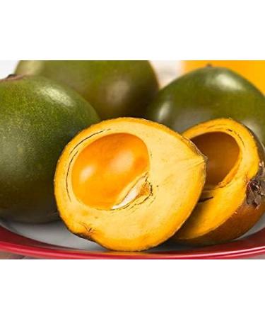 Organic Lucuma Powder imported from Peru.100% Pure. No Sugar Added. USDA certified Organic (200 g) No Preservatives. - Buy Online on GoSupps.com