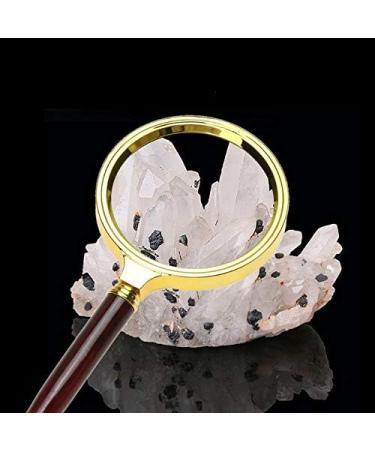 Magnifying 10X Magnifying Glass 60mm Portable Handheld Magnifer for Jewelry Newspaper Book Reading High Definition Loupe Magnifying Glass Made in China - Buy Online on GoSupps.com