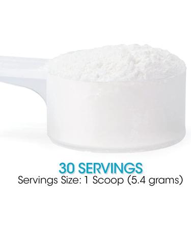 Gut Repair Powder - L-Glutamine, Curcumin, Zinc & Vitamin C Supplement for Digestive Health (5.71oz - 30 Servings) - Buy Online on GoSupps.com