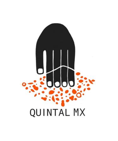 Authentic Mexican Oregano - Dried 1lb | Perfect Spice for Recipes | 16 oz - Buy Online on GoSupps.com