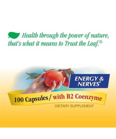 Nature's Way B-50 Complex - 100 Capsules | Premium B-Vitamin Support - Buy Online on GoSupps.com