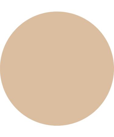 WYCON cosmetics Everyday Wear Liquid Concealer liquid with semimatte finish NC20 - Buy Online on GoSupps.com