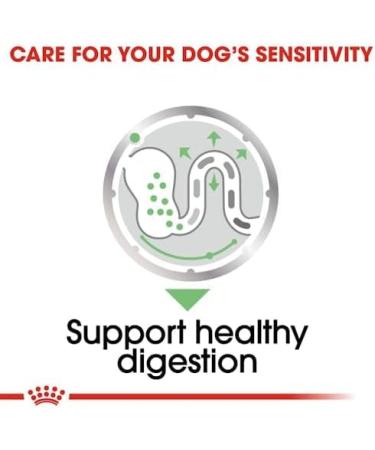 ROYAL CANIN Digestive Care Adult Wet Dog Food 85g (12 Pack) - Buy Online on GoSupps.com