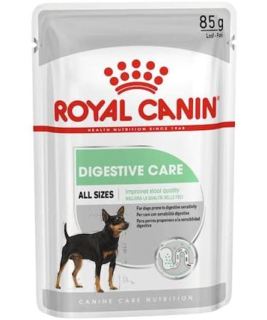 Royal Canin Digestive Care | Double Pack | 2 x 12 x 85 g | Wet food for adult dogs | From 10 months of age | Suitable for dogs with sensitive digestion - Buy Online on GoSupps.com