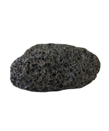 Kerala Natural Pumice Stone Natural 1 Unit