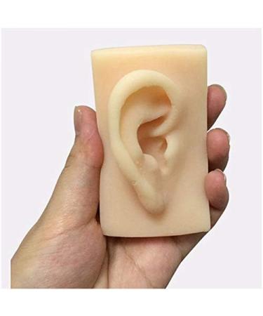 Artificial Human Ear Silicone Ear Model - Simulation Silicone Ear Model for Micro Plastic Surgery Module Pierced Ear Piercing Demonstration Teaching Props - Buy Online on GoSupps.com