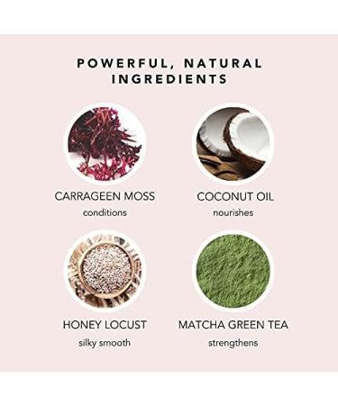 WE ARE PARADOXX 3 in 1 Supersize Repair Conditioner Gentle Conditioner for Dry or Damaged Hair For Shiny Healthy Hair 975 ml - Buy Online on GoSupps.com