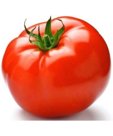 30 Abe Lincoln Pomodoro 2018 (All Non-ogm semi-cimel Vegetable!) - Buy Online on GoSupps.com