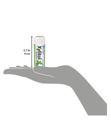 Miradent Xylitol Dental Care Chewing Mints 30 Pieces | Sugar-Free Vegan Caries Prevention | Refreshing Taste | On-the-Go Oral Health - Buy Online on GoSupps.com