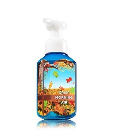 Buy Bath and Body Works Gentle Foaming Hand Soap - Crisp Morning Air | International Shipping Available - Buy Online on GoSupps.com
