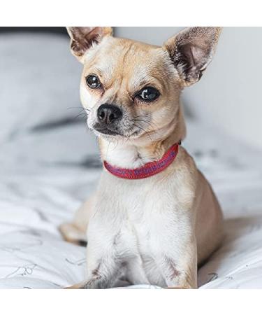 Tagme Personalized Reflective Dog Collar for Small Dogs - Embroidered Nylon with Pet Name & Phone Number - Red XS (1 Pack) - Buy Online on GoSupps.com