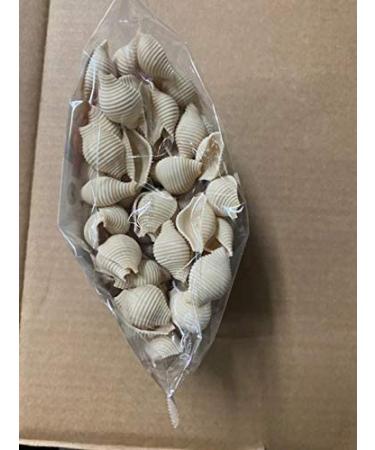 Buy Pasta Shells Online - Premium Quality Pasta for Delicious Recipes - Buy Online on GoSupps.com