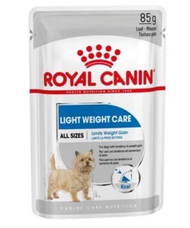 CCN Wet Light Weight Care 85 g (12uds)