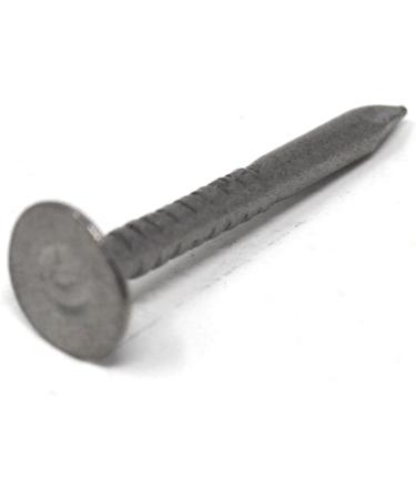 Design61 Belt Pins - 2.0 x 20 mm Large Round Head Nails (100g 170 Pieces) for International Shipping - Buy Online on GoSupps.com