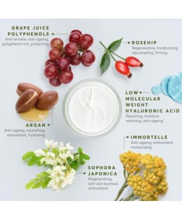 Aphrodite Olive Oil Phyto-Retinol Ultimate Age Support Day Cream 1.7 oz - Buy Online on GoSupps.com