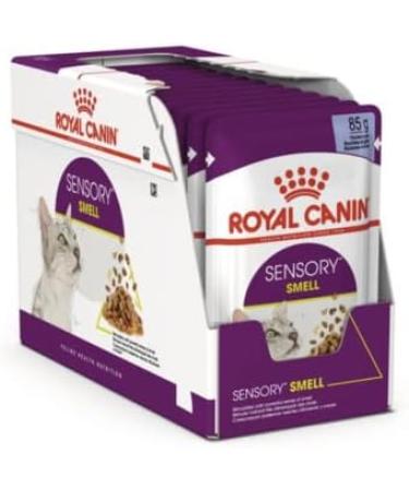 Royal Canin Sensory Smell in Jelly Wet Cat Food 85g (Pack of 48) - Buy Online on GoSupps.com