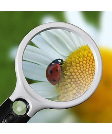 Magnifying Glass - High Magnification Hand-Held Enlarged Mirror with Led Lights Hd Elderly Reading Home Magnifier Microscope Optical Lenses Protect Vision Without Hurting Eyes 220X100X20Mm Lofty - Buy Online on GoSupps.com