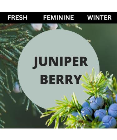 Brillar Bath House Juniper Berry Scented Shimmering Body Lotion 12 Oz (2 Pack) - Buy Online on GoSupps.com