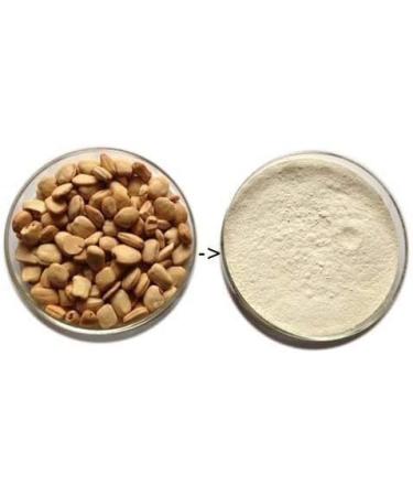 Tamarind Seed Powder 300 GM Pack Of 1 - Buy Online on GoSupps.com