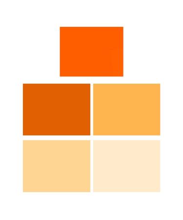 shengzkc 16x20 inches/40x50cm Color Correction Gel Filter Transparent Sheet Kit,Golden Orange Full 1/2 1/4 1/8 CTO Photography Lighting for Red Head Strobe Flashlight