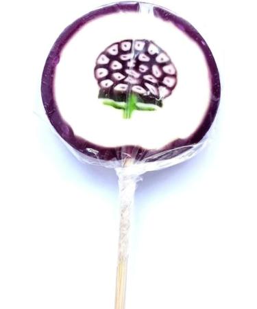 Lollipops Fruit Slice Candy Rock 25g Fruit Flavoured Lollies. Kids Party Bags Sweets. (20) - Buy Online on GoSupps.com