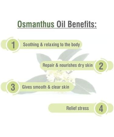 Osmanthus Oil | Pure and Natural Oil | Skincare Aromatherapy Cosmetic Grade - 15ML Osmanthus 15 ml (Pack of 1) - Buy Online on GoSupps.com