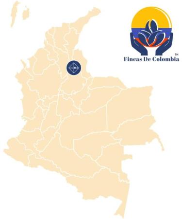 COLOMBIAN Speciality Coffee | Don Jose | The Perfect Espresso | Dark Roast | Single Origin Supremo Arabica Coffee Beans (1kg Resealable Bag) - Buy Online on GoSupps.com