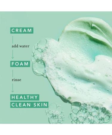 Farmacy Whipped Greens Face Wash - Oil Free Foaming Cleanser for Combination and Oily Skin (5.0 Fl Oz) - Buy Online on GoSupps.com