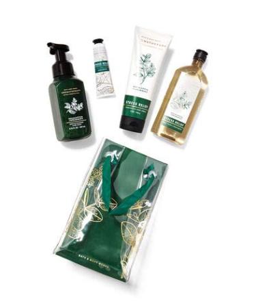 Bath and Body Works EUCALYPTUS SPEARMINT Gift Bag