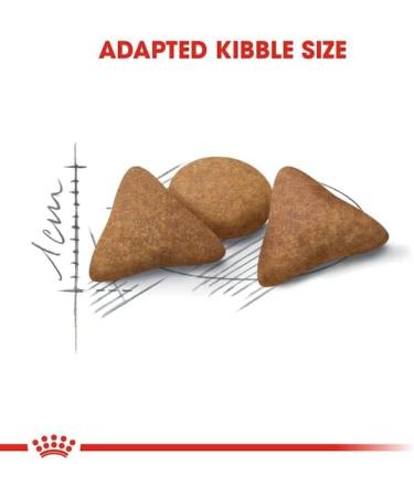 ROYAL CANIN Indoor Appetite Control - 4kg - Buy Online on GoSupps.com