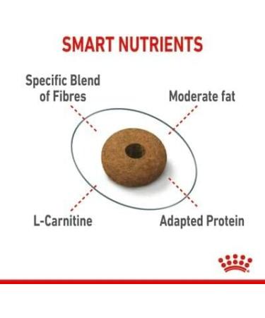 Royal Canin Appetite Control Care Adult Dry Cat Food 3.5kg - Buy Online on GoSupps.com