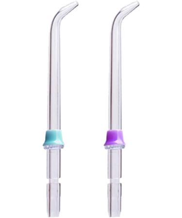 WuYan Dustproof Nozzle Box for Waterpik + 2 Oral Hygiene Tips - Fits WP-100 WP-450 WP-250 WP-300 WP-660 WP-900 | International Shipping Available - Buy Online on GoSupps.com