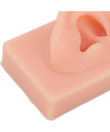Flexible Reusable Human Ear Model - Soft & Easy to Use for Headphones Display and Acupuncture Training (Light Complexion) - Buy Online on GoSupps.com