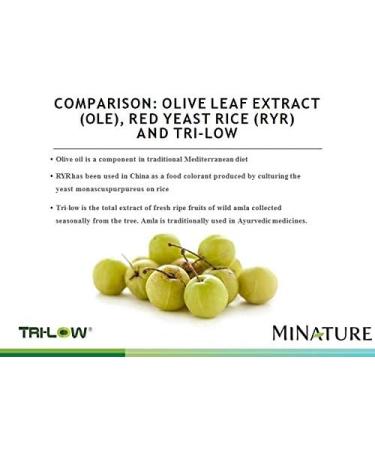 minature Healthy Heart Capsules Enriched with TRI-Low by mi Nature | 90 Veg Capsules | 45 Day Supply| 1000mg | TRI Low Amla Extract Garlic Extract Arjuna Extract | Made from Indian Herbs - Buy Online on GoSupps.com