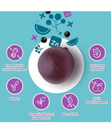 Hyland's Organic Elderberry Plus Gummies Organic Black Elderberry with ZINC and Vitamin C Immune Support Supplement for Adults 60 Vegan Gummies (30 Days) Adult - 60 Count 60 Count (Pack of 1) - Buy Online on GoSupps.com