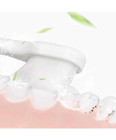 Buy Zumaha Compactly Cute Toothbrush for Toddlers | Extra Soft Bristles | 2-Pack Ergonomic Design for Ages 1-10 - Buy Online on GoSupps.com