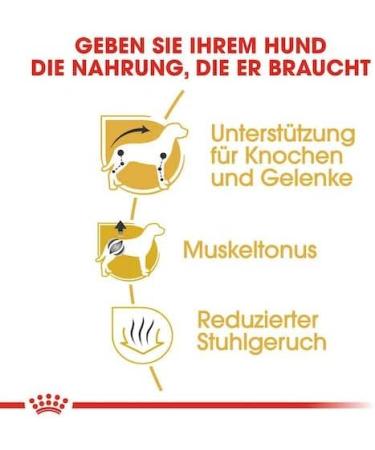 Royal Canin Chihuahua Adult | Pack of 4 | 4 x 500 g | Dry food for Adult Chihuahuas | to Support stool quality and dental health | High Acceptance - Buy Online on GoSupps.com