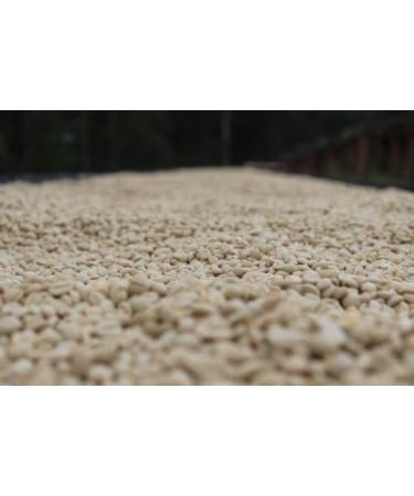 West End Coffee Roasters Kenya Kagumo PB Microlot Top Grade Single Origin Medium Roast Whole Bean (12oz/340.2g x 3) Kenya Kagumo PB Microlot - med roast 113.33 g (Pack of 3) - Buy Online on GoSupps.com