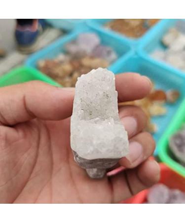 1pcs Clear Quartz Crystal Chyrsanthemum Cluster HandCarved Skull Specimen s - Buy Online on GoSupps.com