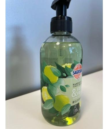  Sagrotan Sagrotan Fresh and Fruity Hand Soap - Moisturizing Liquid Soap with a Fruity Scent - 5 x 300 ml Hand Soap - Buy Online on GoSupps.com